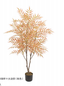 شجرة A3-15